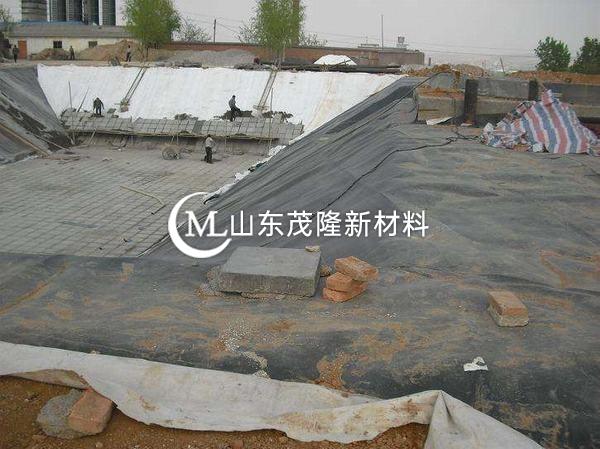 渠道襯砌土工膜作業(yè)指導(dǎo)書——《職責(zé)》