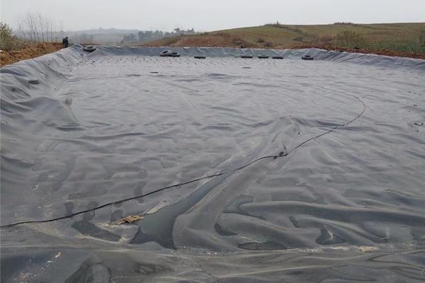 土工膜在種植中的應(yīng)用價值：防滲土工膜能否用于種植？  第2張