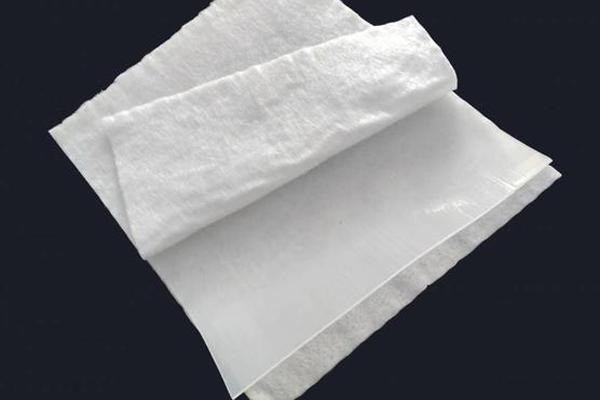 復(fù)合土工膜能否使用水泥進行粘合？  第2張